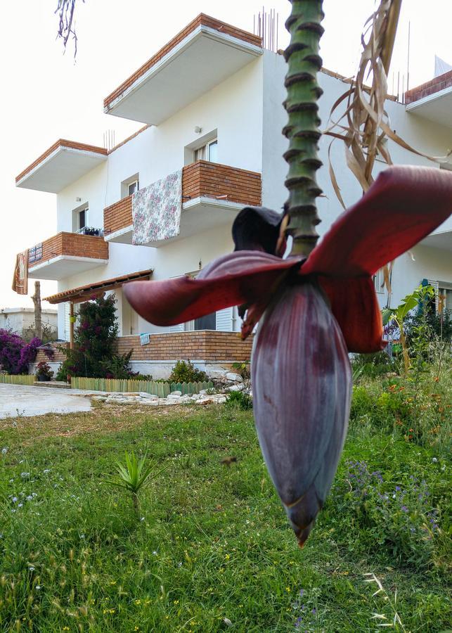 Gjestgiverier Penelope's Dhërmi