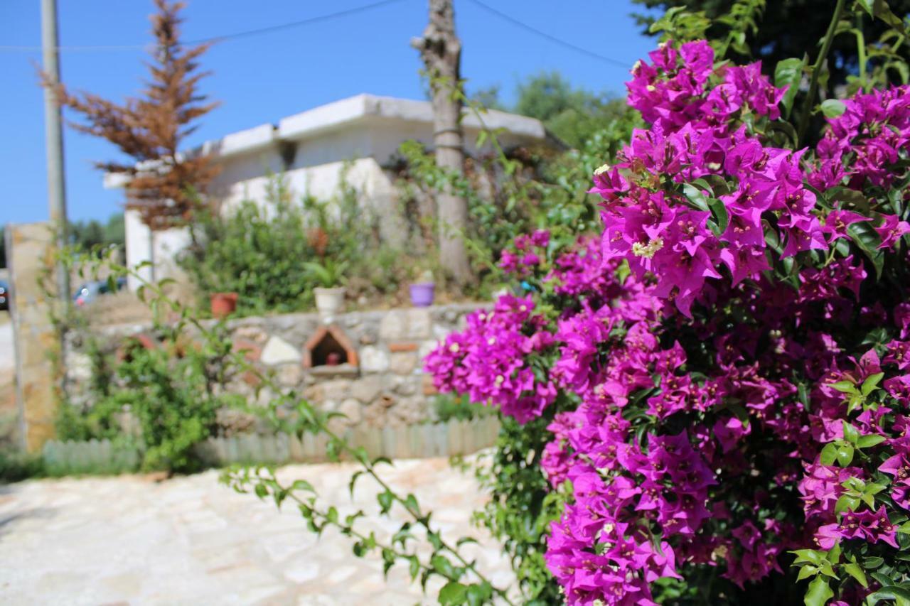 Penelope's Gjestgiverier Dhërmi